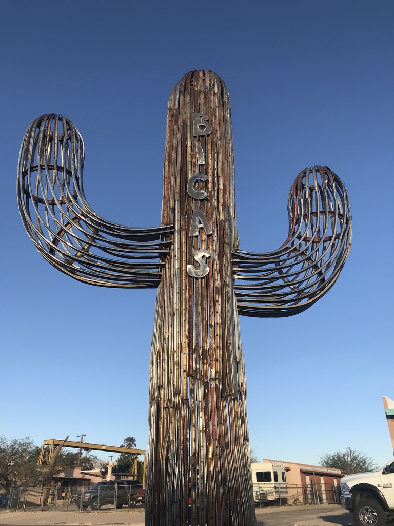 Bicycle Rim Saguaro