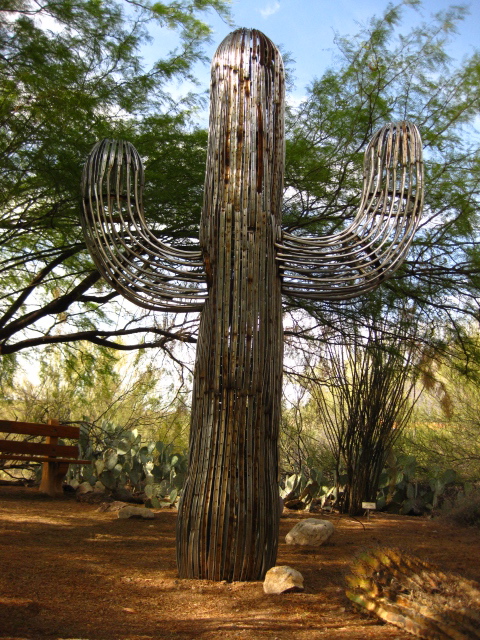saguaro