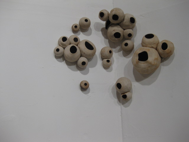 A Swallows Playground